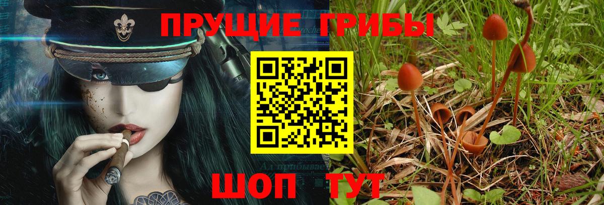 Галлюциногенные грибы ЛСД Воронеж