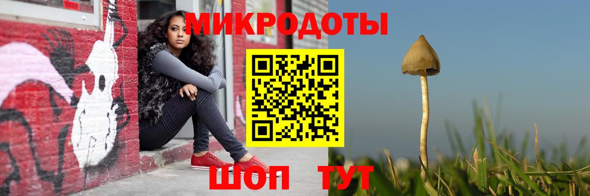 Воронеж  где купить   Вход с VPN  Галлюциногенные грибы MAGIC MUSHROOMS 